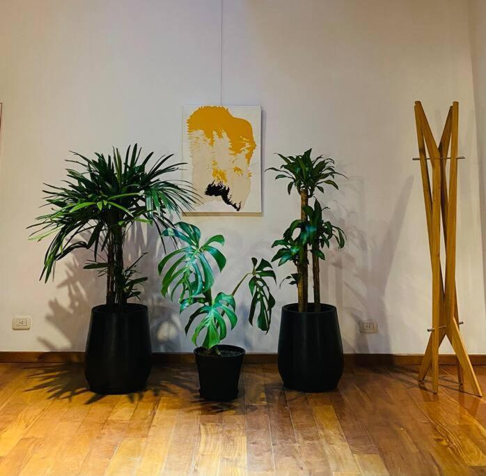 Arts Loft, A Estrenar! Buenos Aires Διαμέρισμα Εξωτερικό φωτογραφία